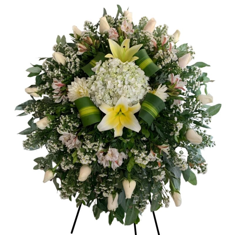 Lágrima Pedestal Hortensia