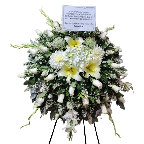 Lágrima Pedestal Gladiolos